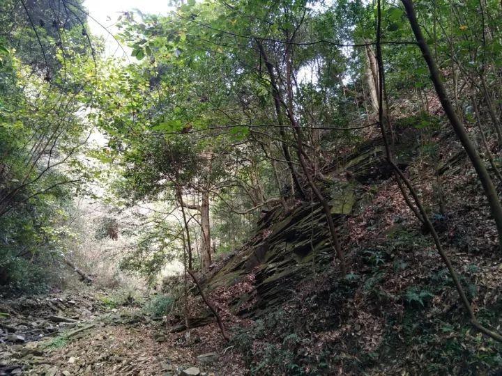 纸吸管频繁遭到嫌弃，纸吸管使用中会出现哪些问题？