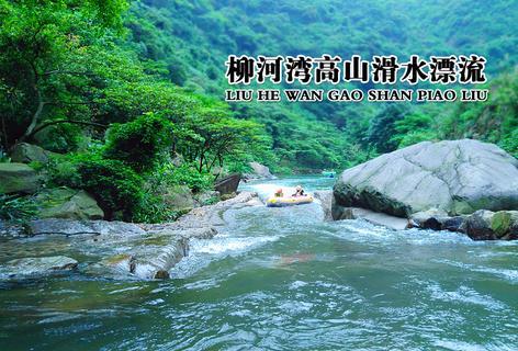 僵尸顶顶乐